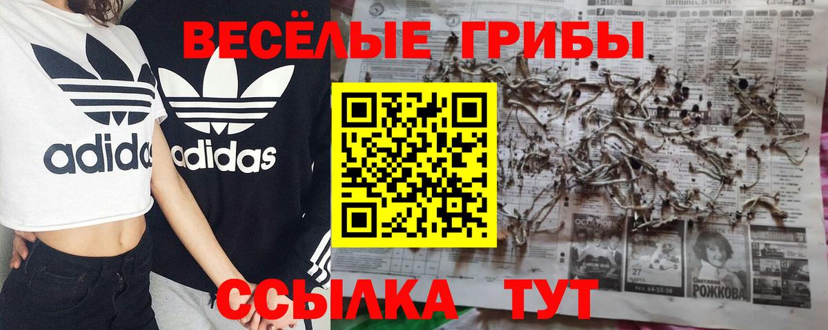 Баксан  Галлюциногенные грибы Psilocybe  Галлюциногенные грибы MAGIC MUSHROOMS  Вход с VPN 